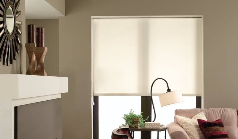 Roller shade in Indianapolis